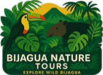 Bijagua Nature Tours